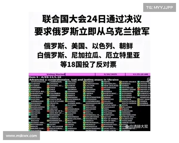 联合国压倒性通过网络犯罪条约 媒体